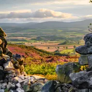 Adobestock 288899724